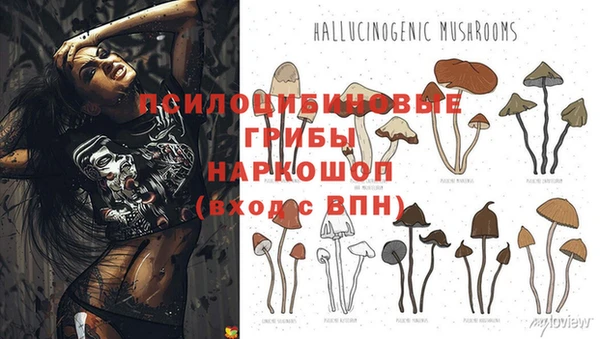 ГАЛЛЮЦИНОГЕННЫЕ ГРИБЫ Баксан