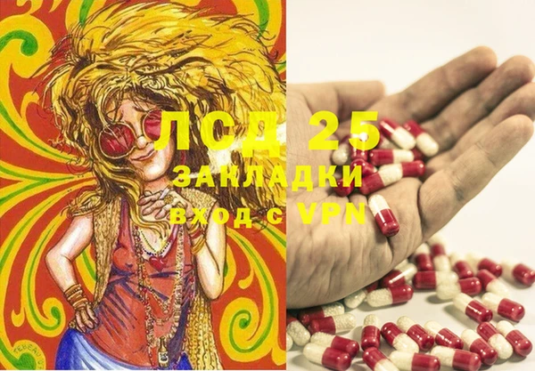 крисы Арсеньев