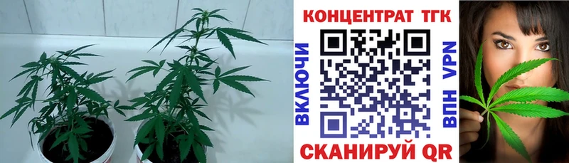 Дистиллят ТГК вейп  blacksprut вход  Петухово  купить наркотик 