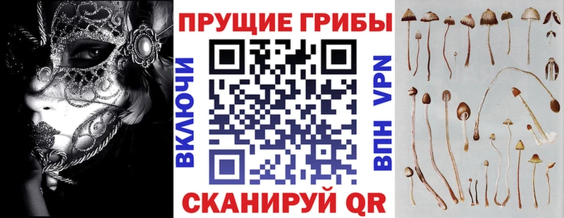 Галлюциногенные грибы Psilocybe Петухово